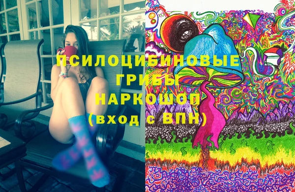 mix Богородицк