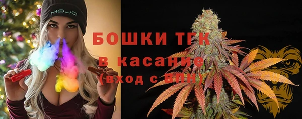 mix Богородицк